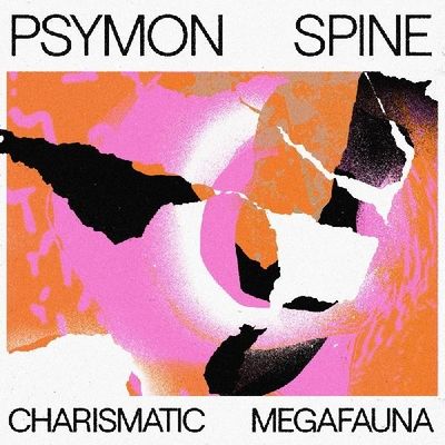 Charismatic Megafauna (Vinyl / 12" Album)