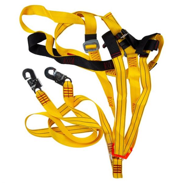 Full Harness Typed With Double Lanyard+Snaphook