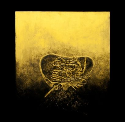 Ballast (Vinyl / 12" Album)