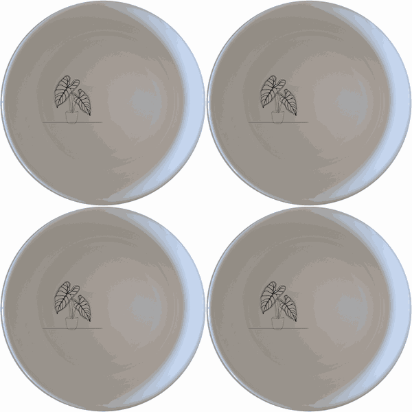 Alocasia Zebrina Bowl Set of 4 - Range 1