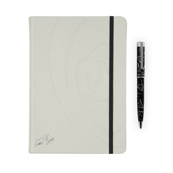 Notebook Set- Revolutions Artic