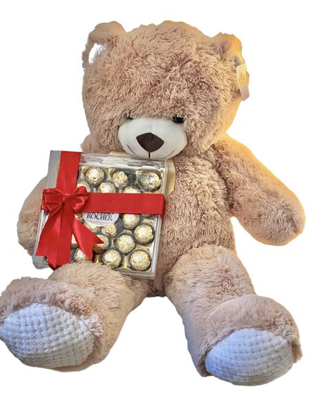 Teddy Bear and Chocolate