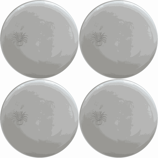 Tillandsia Air Plants Side Plate Set of 4 - Range 2