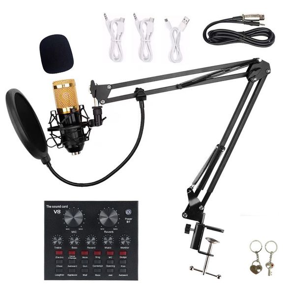 Recording Condenser Microphone Set with V8s Live Sound Card
