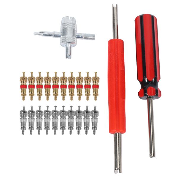 20Pcs Valve Cores,Dual Single Head Core Remover,Tire Repair Tool