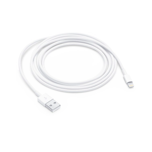 Bizfeat- Lightning Cable to USB x 4