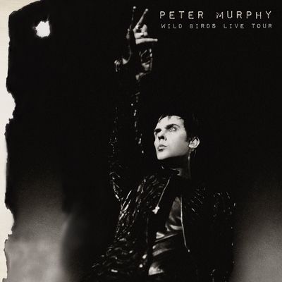 Wild birds live tour (Vinyl / 12" Album Coloured Vinyl)