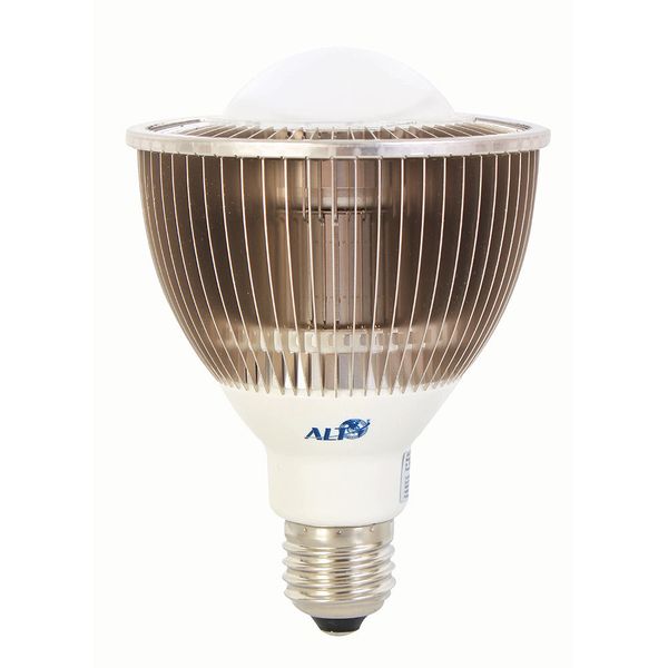 ALT - Cree XB - PAR30 E27 - 15w - Warm White - 60