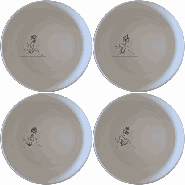 Western Cape Fynbos Bowl Set of 4 - Range 1