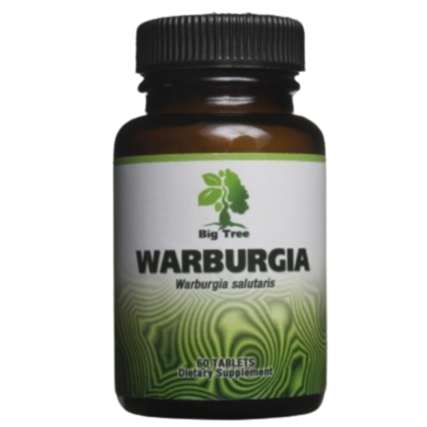 Big Tree - Warburgia Natural Antibiotic &amp; UTI Treatment - 60 Veg Caps