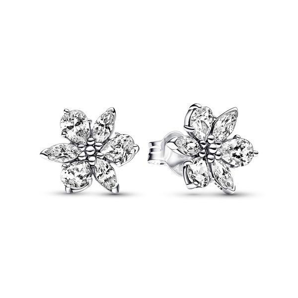 Pandora Sparkling Herbarium Cluster Stud Earring image