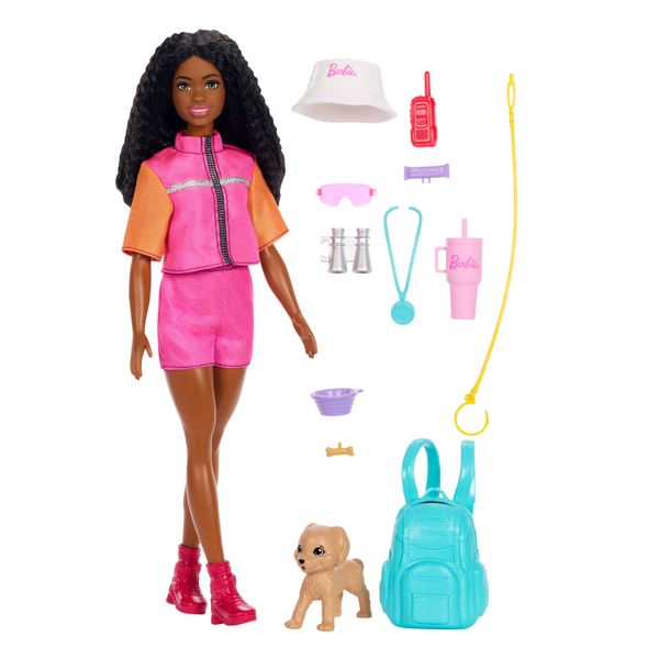 Barbie Family &amp; Friends Barbie Brooklyn Doll And Accessories