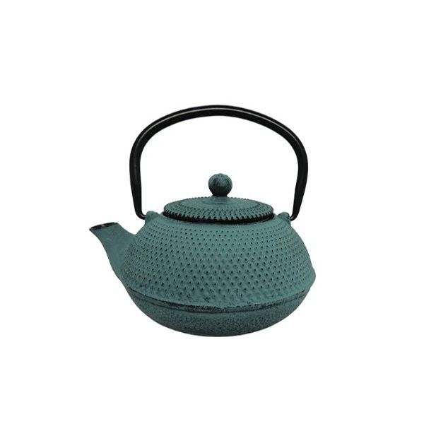 Stainless Steel Cast Iron Teapot