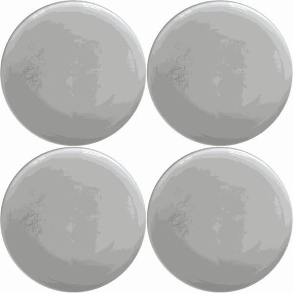 Bold Coral Peonies Dinner Plate Set of 4 - Range 4