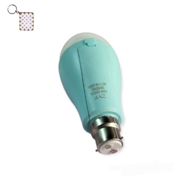 ZYF-K007-15W LED Rechargeable Intelligent Bulb B22 And A Keyholder