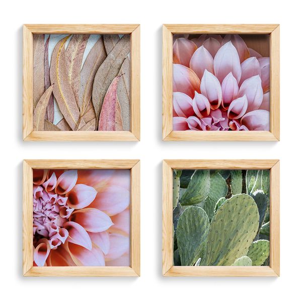 Cape Art Pine Boxed Canvas 4 Piece Collage Desert Flora