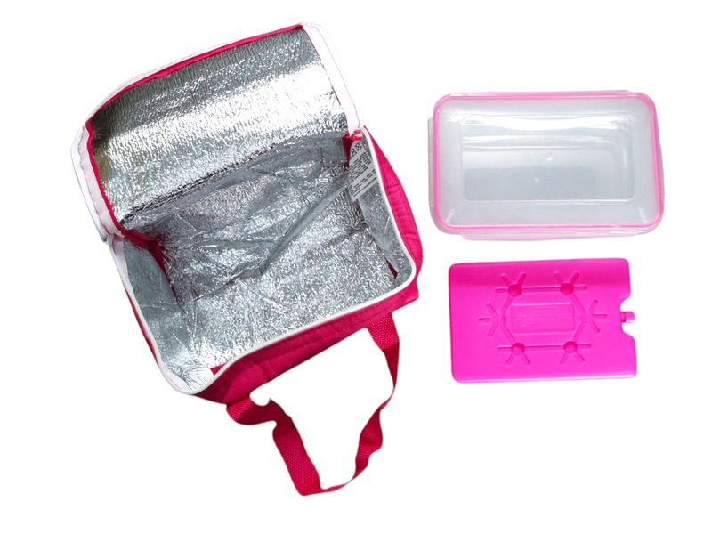 Cooler Bag with Lunch Box and Ice Block