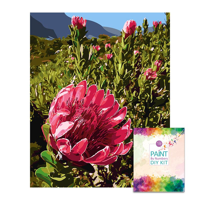 Easy Craft Paint by Number DIY Kit, 50x40cm Protea on Mountain Shop