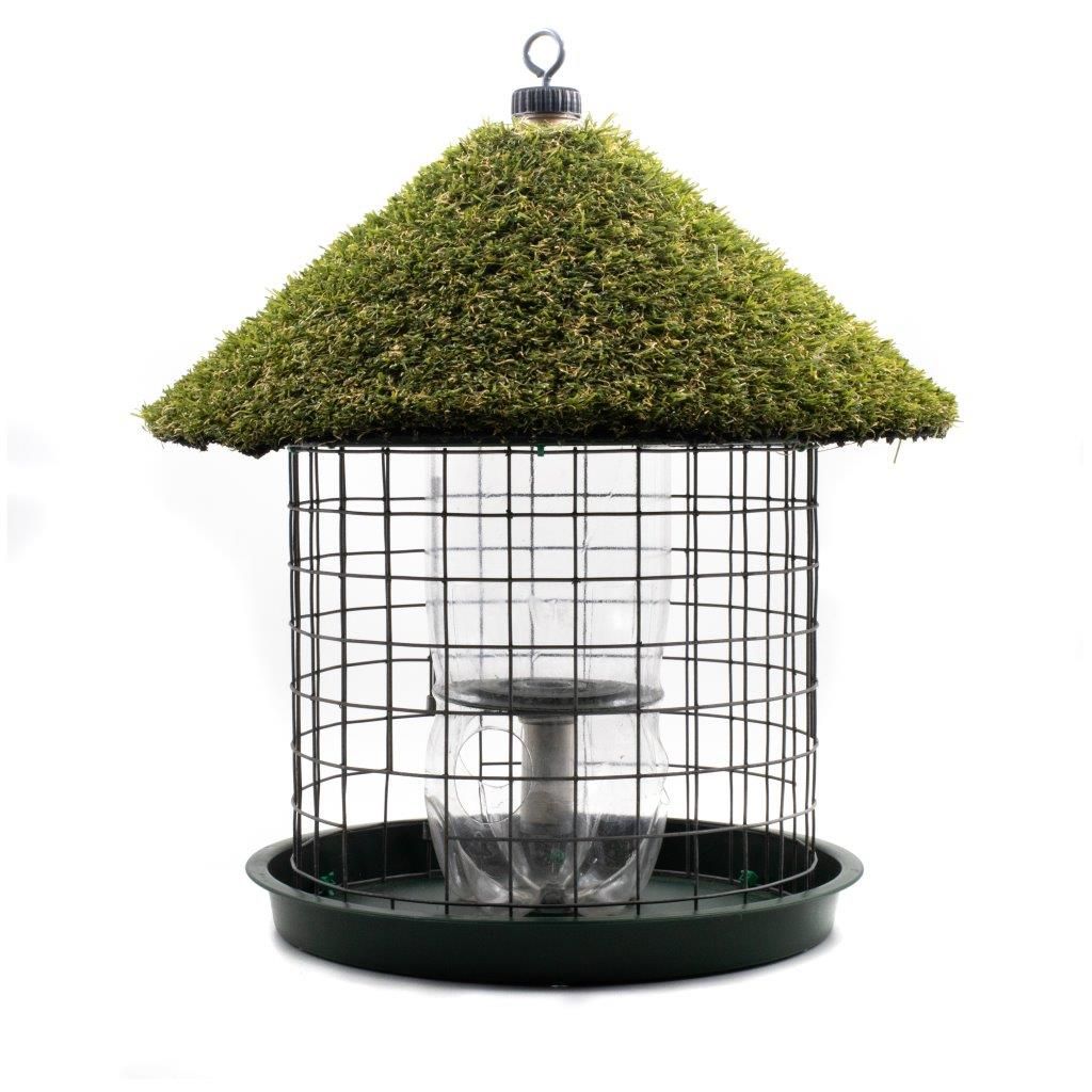 Wild Bird Seed Feeder Shop Today. Get it Tomorrow!