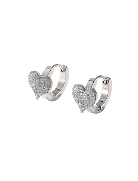 Elegant Heart Design Earrings for Women