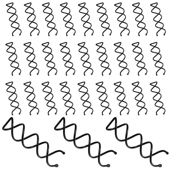 30 Pcs Spiral Bobby Pins, Spiral Hair Pins, Alloy Spin Pin (black)