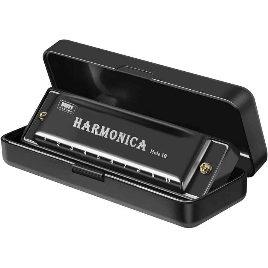 10-Hole Harmonica With Protective Case