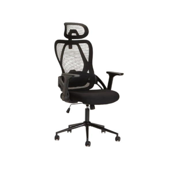 Ergonomic Hi-Back Deluxe Office Chair