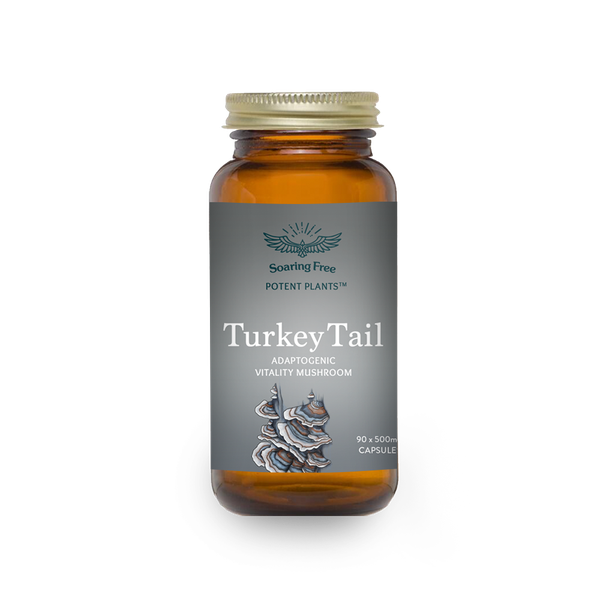 Soaring Free Turkey Tail Capsules 500mg