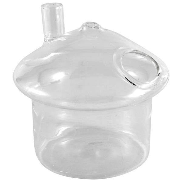 Mushroom Shaped Hanging Glass Planter Vase