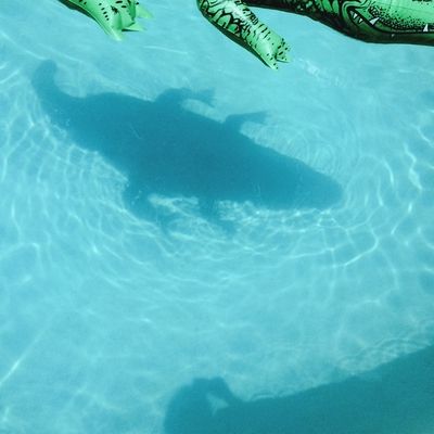 The Official Body (Vinyl / 12" Album)