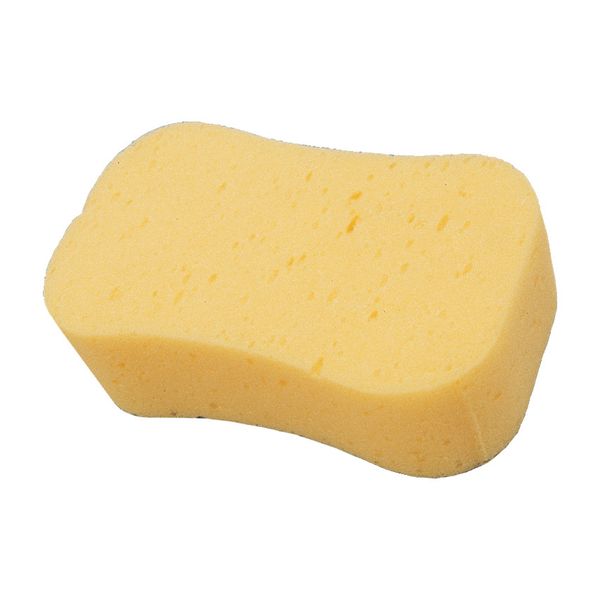 Yellow Jumbo Sponge