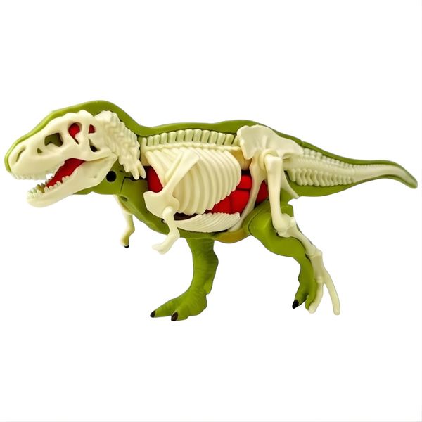 Paleontology and Anatomy 3D Tyranosaurus Rex Building Set - Green