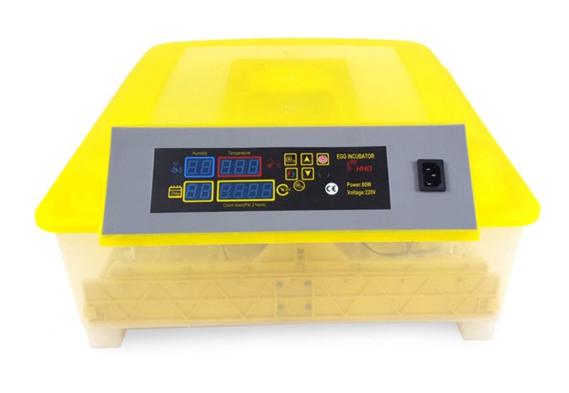 Incubator - 56 Chicken Eggs