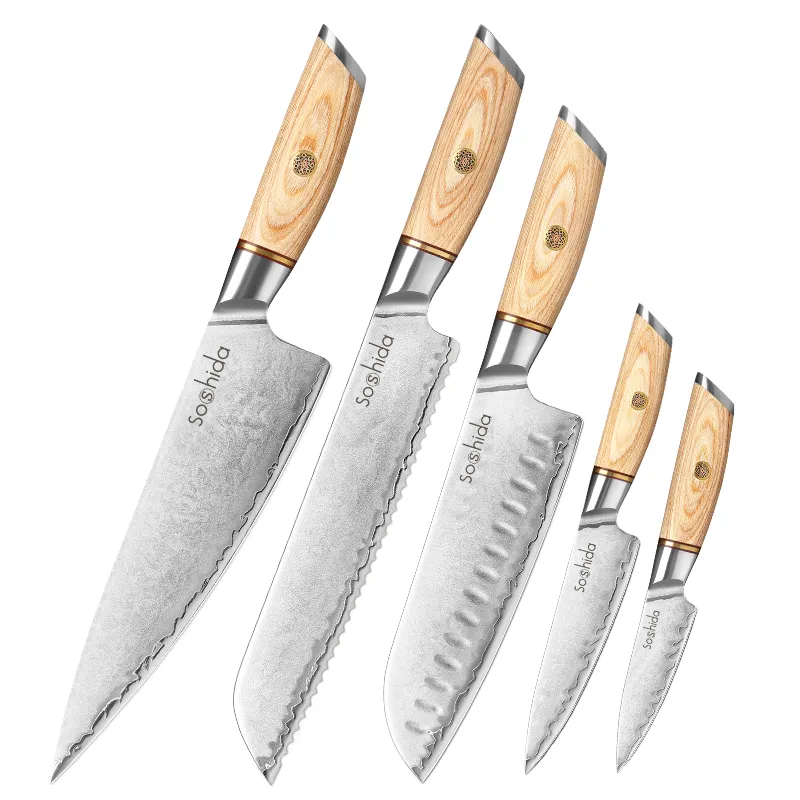 Soshida Japanese 5-Piece Chef Knife Set | Shop Today. Get it Tomorrow ...