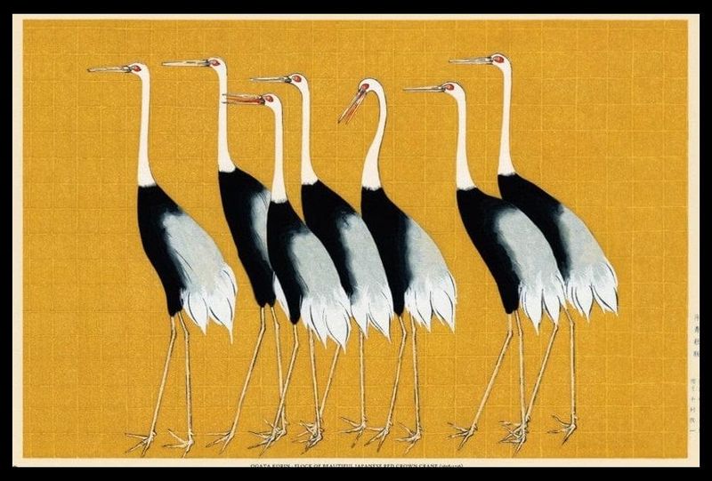 Japanese Red Crown Crane (O Korin) Poster with Black Frame