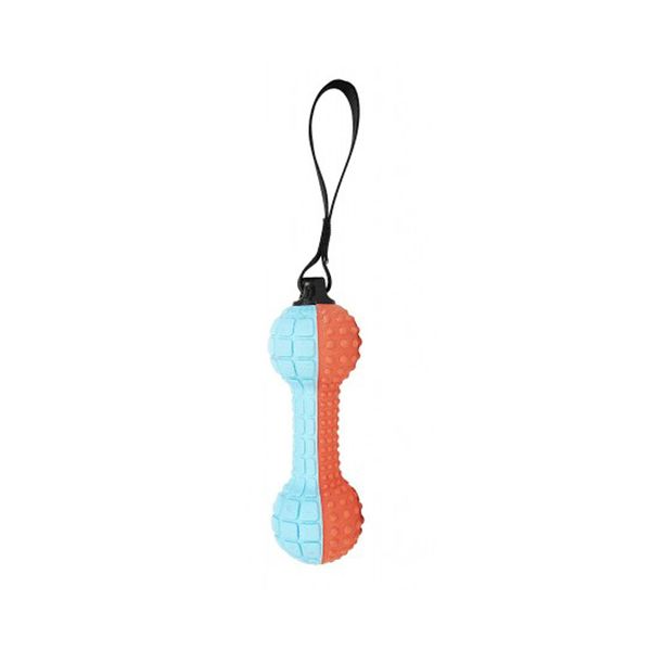 Squeaky Dumbbell Rubber Dog's Teething and Training Chew Interactive Toy