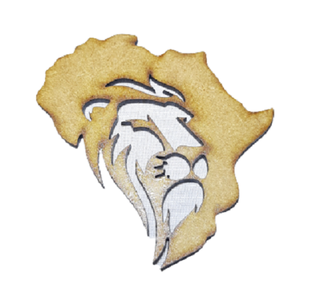 Africa Lion Wall art