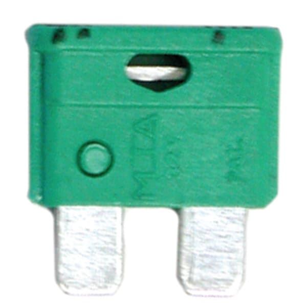 Automotive Plug-In Fuses - 30 Amp (Pack of 100)