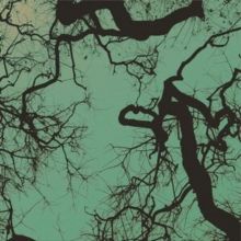 Föllakzoid (Vinyl / 12" Album)
