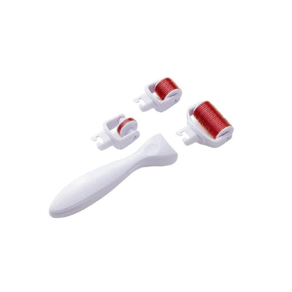 4 in 1 Derma Roller Cosmetic Kit