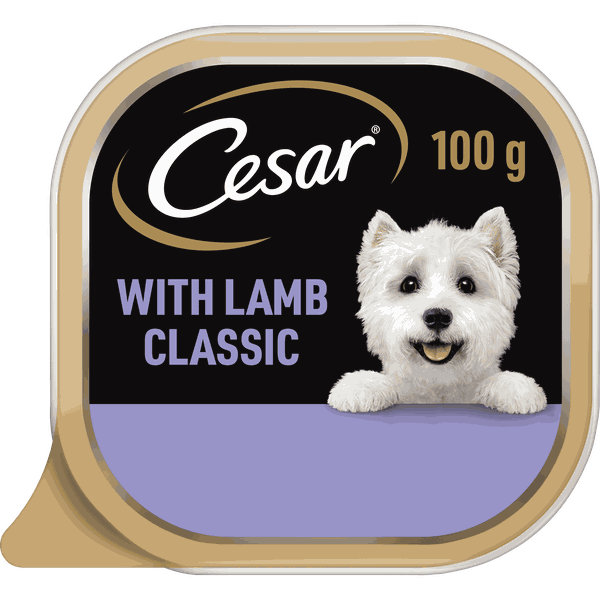 Cesar Adult Wet Dog Food with Lamb Classic 24 x 100g