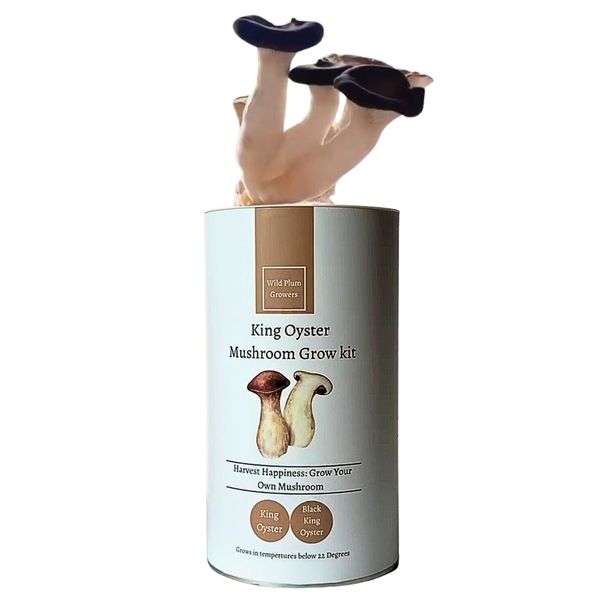 Wild Plum Growers Black King Oyster Mushroom Grow kit