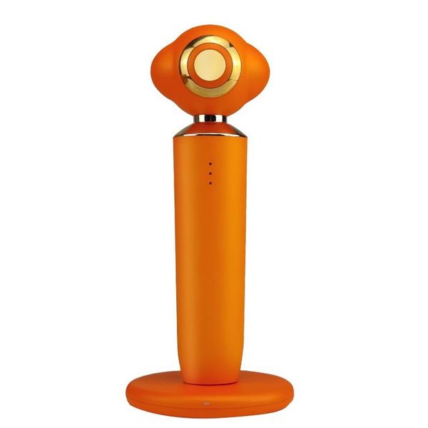 Facial Radio Frequency Beauty Instrument