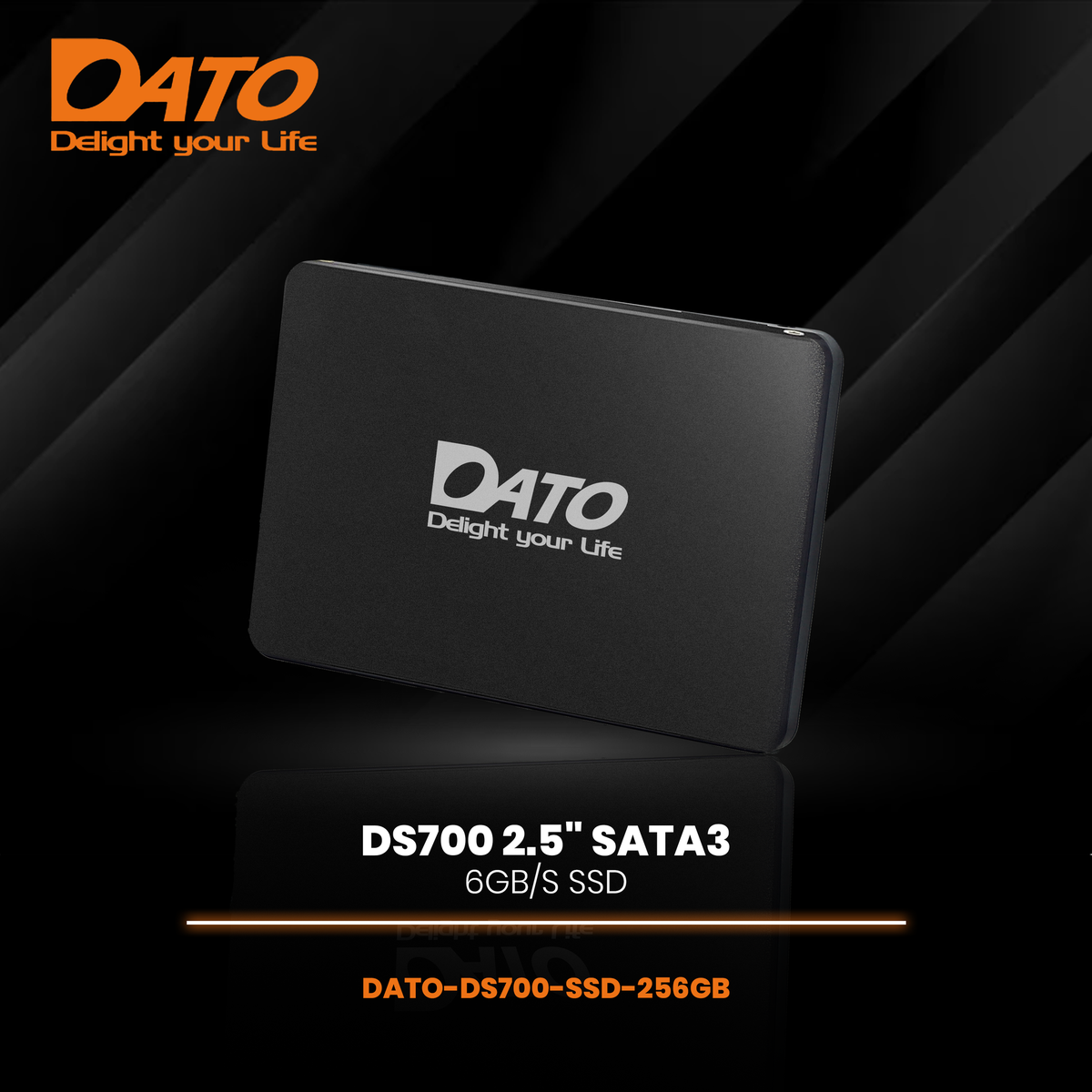 Dato DS700 256GB 2.5-inch SATA SSD | Shop Today. Get it Tomorrow