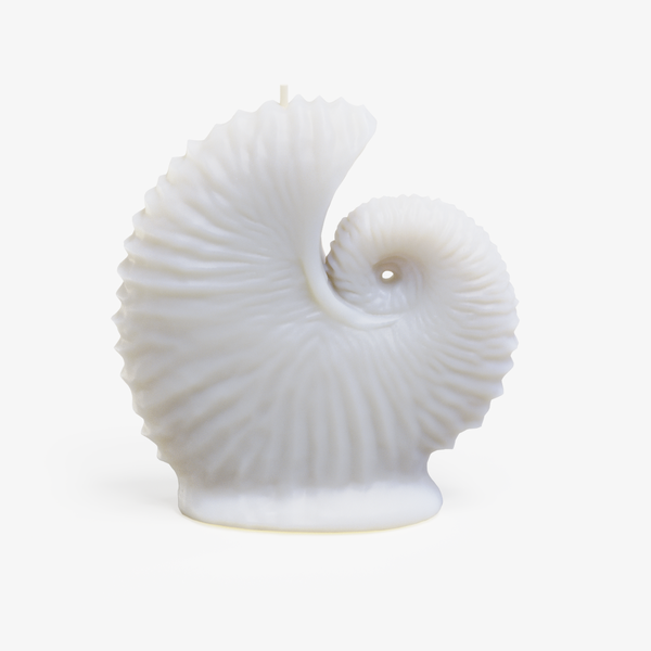 Argonaut Shell (Octopus) Candle