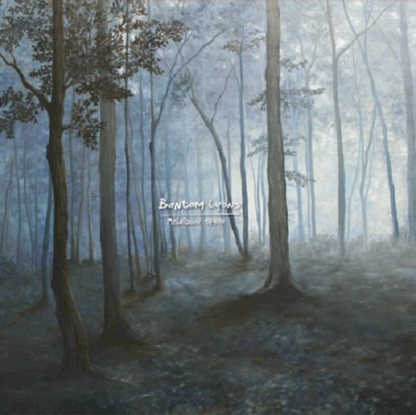 Melatonin Spree (Vinyl / 12" Album)