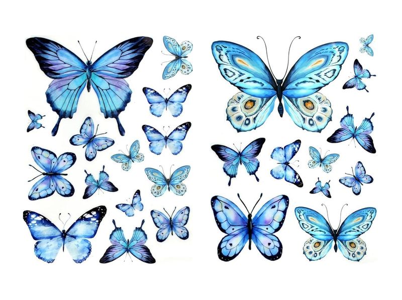 Glow in The Dark Butterfly Wall Decals Removable for Boy and Girl Bedroom