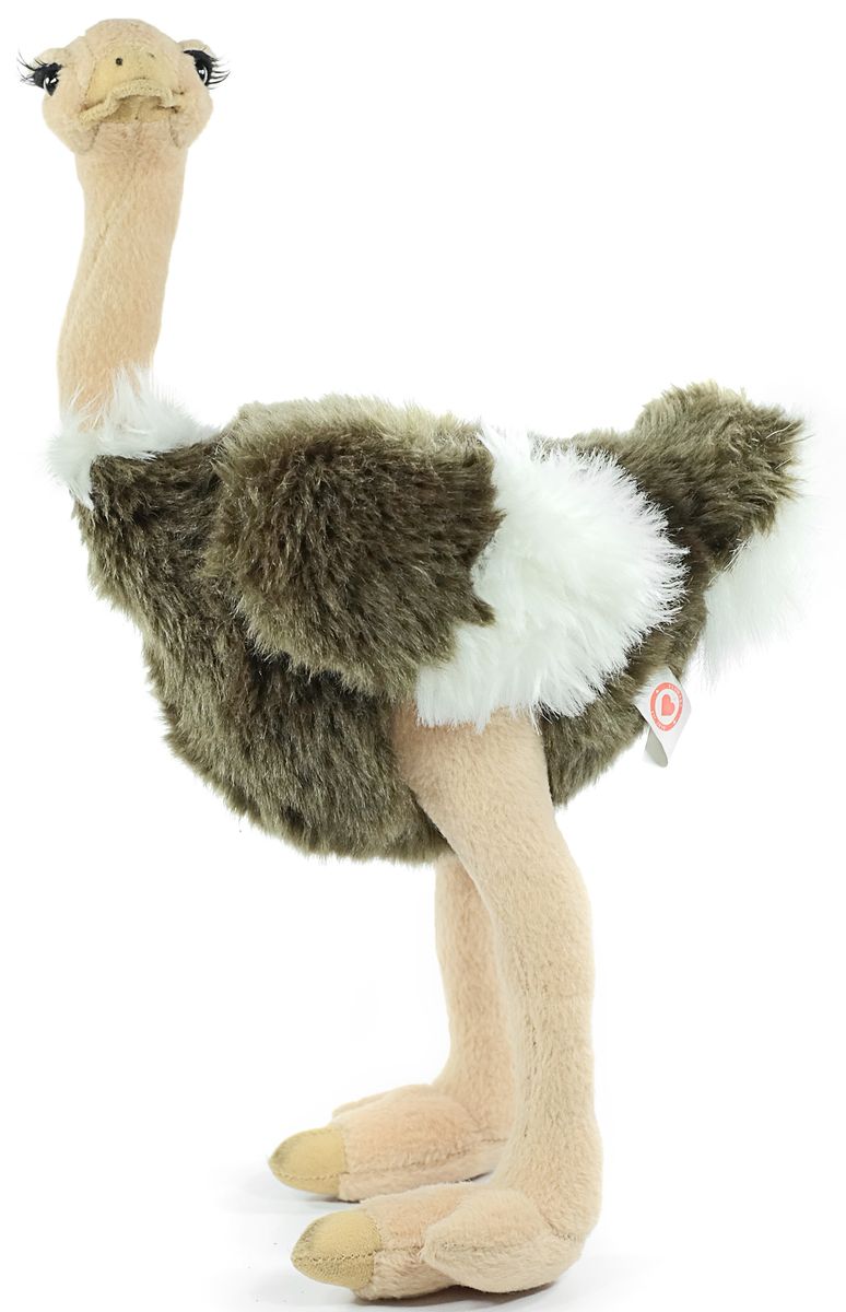 Ostrich teddy hot sale