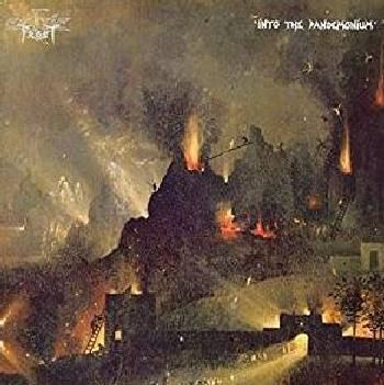 Into The Pandemonium (Vinyl)