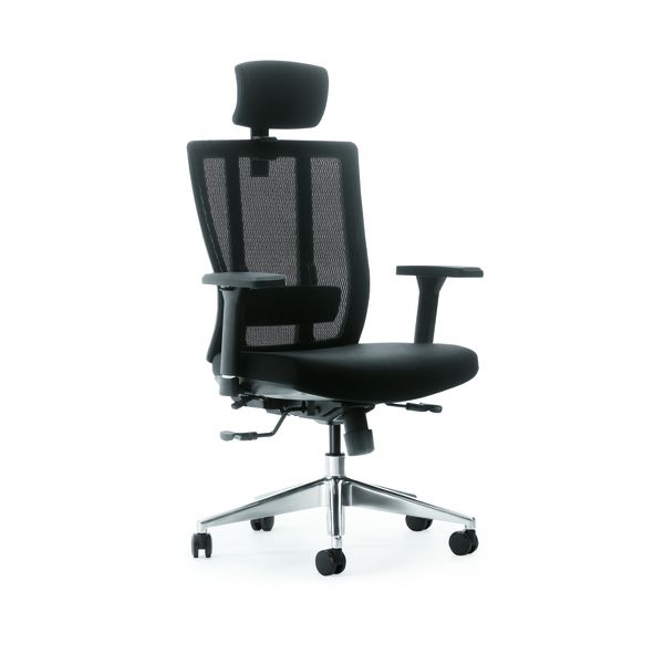 Sohum Ergonomic Managers High Back Chair